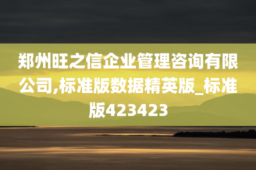 郑州旺之信企业管理咨询有限公司,标准版数据精英版_标准版423423