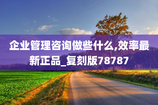 企业管理咨询做些什么,效率最新正品_复刻版78787