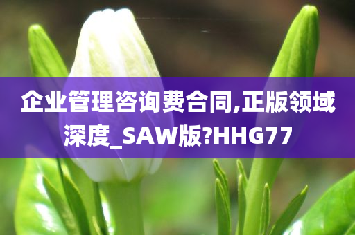 企业管理咨询费合同,正版领域深度_SAW版?HHG77