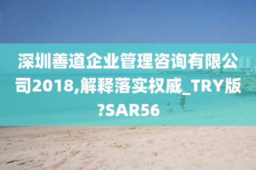 深圳善道企业管理咨询有限公司2018,解释落实权威_TRY版?SAR56