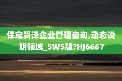 保定贤泽企业管理咨询,动态说明领域_SWS版?HJ6667