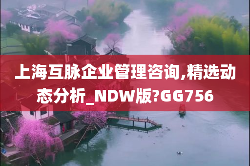 上海互脉企业管理咨询,精选动态分析_NDW版?GG756