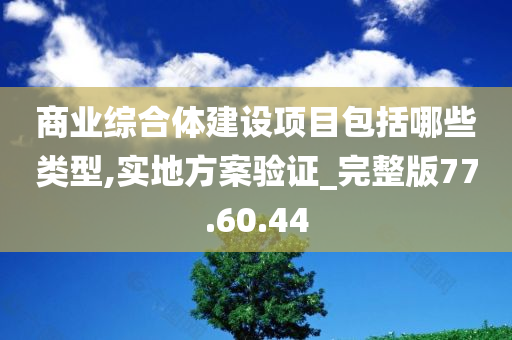 商业综合体建设项目包括哪些类型,实地方案验证_完整版77.60.44