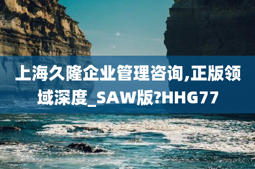 上海久隆企业管理咨询,正版领域深度_SAW版?HHG77