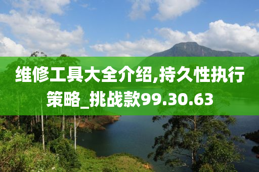 维修工具大全介绍,持久性执行策略_挑战款99.30.63