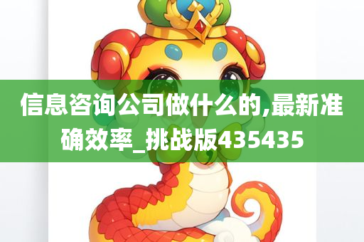 信息咨询公司做什么的,最新准确效率_挑战版435435