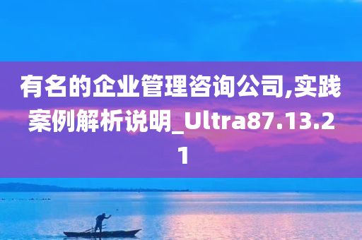 有名的企业管理咨询公司,实践案例解析说明_Ultra87.13.21