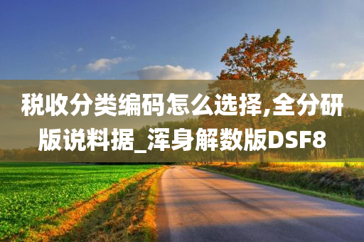 税收分类编码怎么选择,全分研版说料据_浑身解数版DSF8