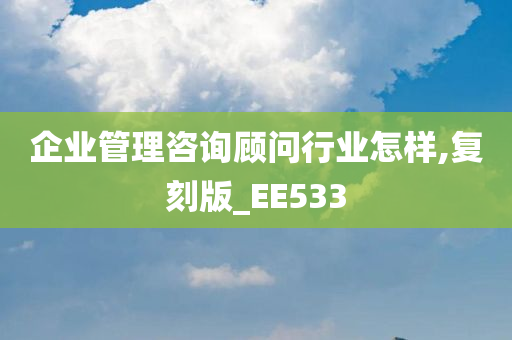 企业管理咨询顾问行业怎样,复刻版_EE533