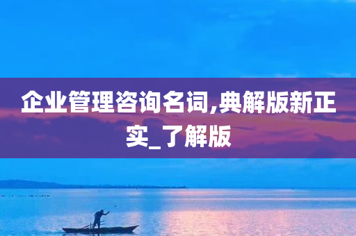 企业管理咨询名词,典解版新正实_了解版