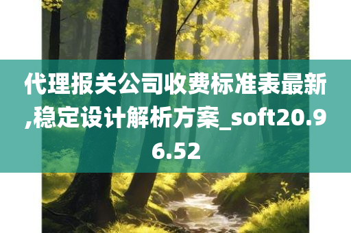 代理报关公司收费标准表最新,稳定设计解析方案_soft20.96.52