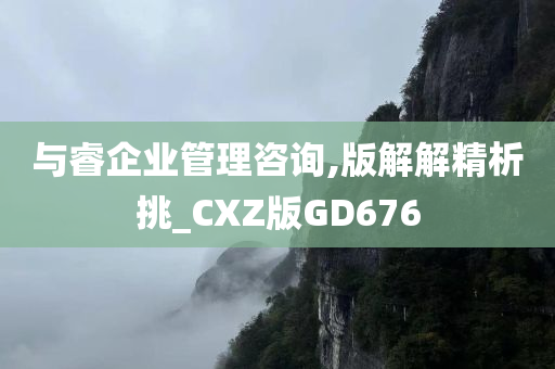 与睿企业管理咨询,版解解精析挑_CXZ版GD676