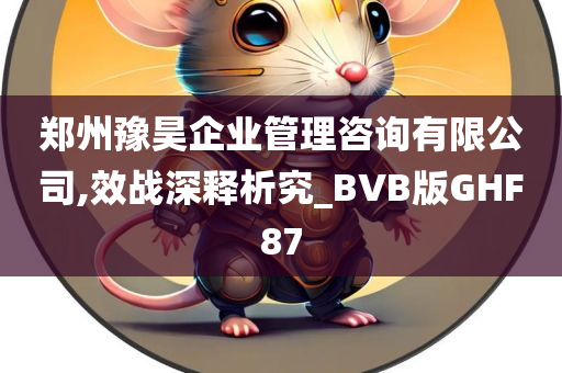 郑州豫昊企业管理咨询有限公司,效战深释析究_BVB版GHF87