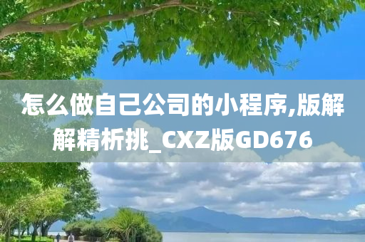 怎么做自己公司的小程序,版解解精析挑_CXZ版GD676