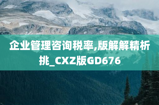 企业管理咨询税率,版解解精析挑_CXZ版GD676