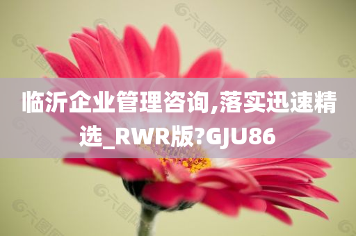 临沂企业管理咨询,落实迅速精选_RWR版?GJU86