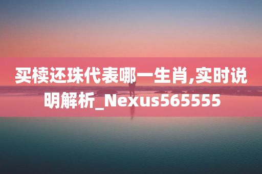 买椟还珠代表哪一生肖,实时说明解析_Nexus565555