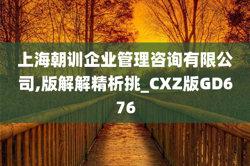 上海朝训企业管理咨询有限公司,版解解精析挑_CXZ版GD676