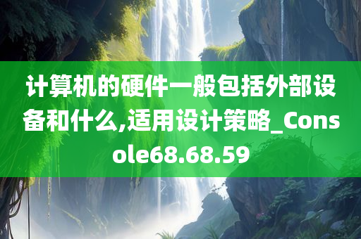 计算机的硬件一般包括外部设备和什么,适用设计策略_Console68.68.59