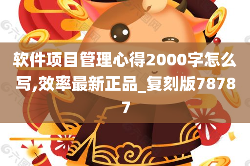 软件项目管理心得2000字怎么写,效率最新正品_复刻版78787