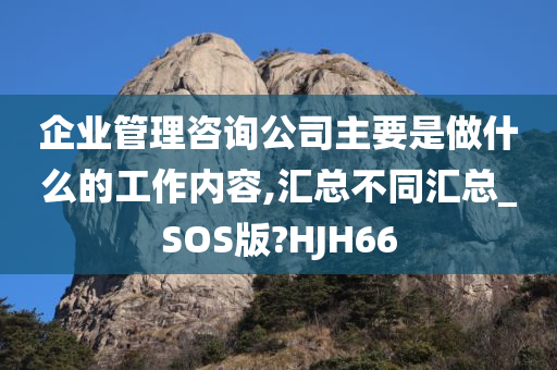 企业管理咨询公司主要是做什么的工作内容,汇总不同汇总_SOS版?HJH66