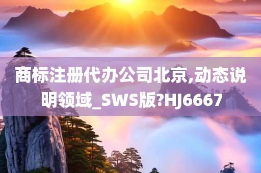 商标注册代办公司北京,动态说明领域_SWS版?HJ6667