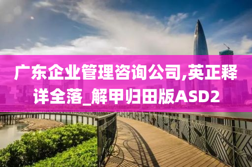 广东企业管理咨询公司,英正释详全落_解甲归田版ASD2