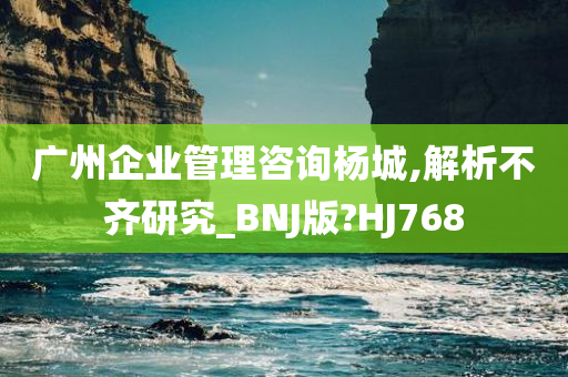 广州企业管理咨询杨城,解析不齐研究_BNJ版?HJ768