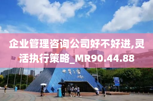 企业管理咨询公司好不好进,灵活执行策略_MR90.44.88