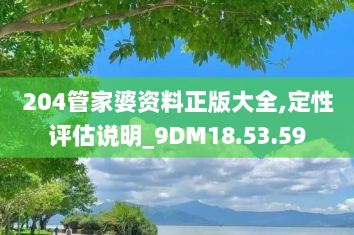 204管家婆资料正版大全,定性评估说明_9DM18.53.59