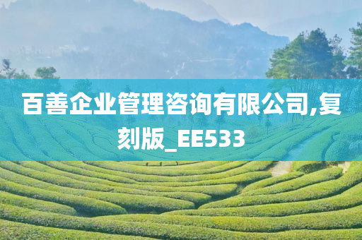 百善企业管理咨询有限公司,复刻版_EE533