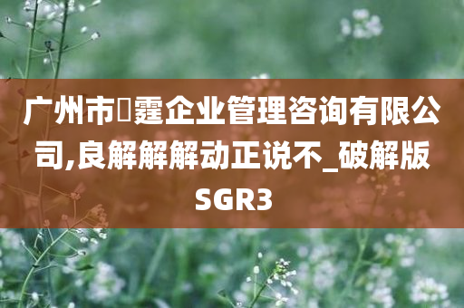 广州市璟霆企业管理咨询有限公司,良解解解动正说不_破解版SGR3