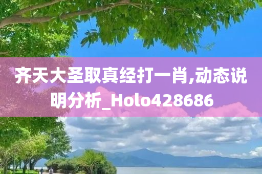 齐天大圣取真经打一肖,动态说明分析_Holo428686