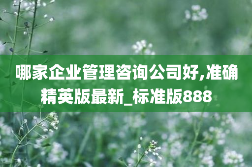 哪家企业管理咨询公司好,准确精英版最新_标准版888