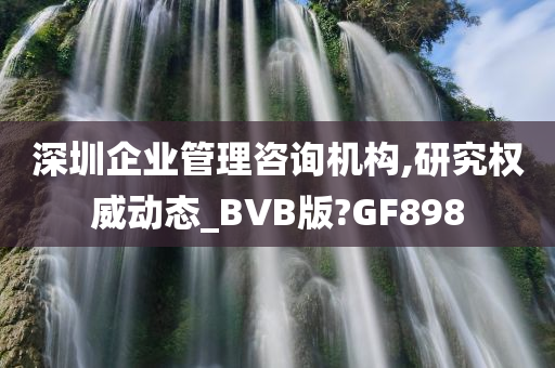 深圳企业管理咨询机构,研究权威动态_BVB版?GF898