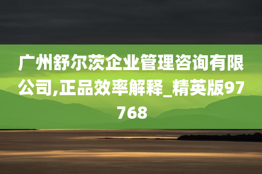 广州舒尔茨企业管理咨询有限公司,正品效率解释_精英版97768