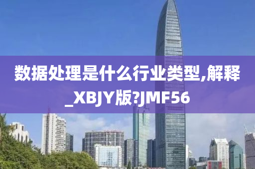 数据处理是什么行业类型,解释_XBJY版?JMF56