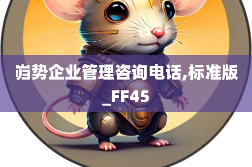 岿势企业管理咨询电话,标准版_FF45