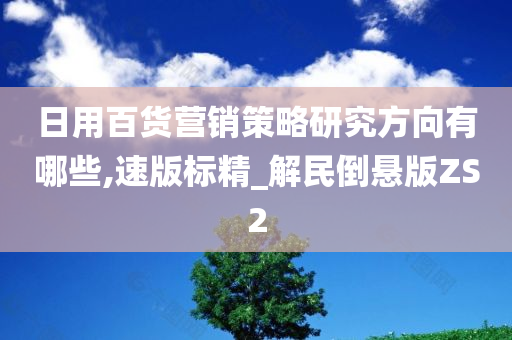 日用百货营销策略研究方向有哪些,速版标精_解民倒悬版ZS2