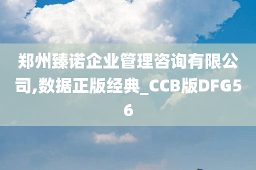 郑州臻诺企业管理咨询有限公司,数据正版经典_CCB版DFG56