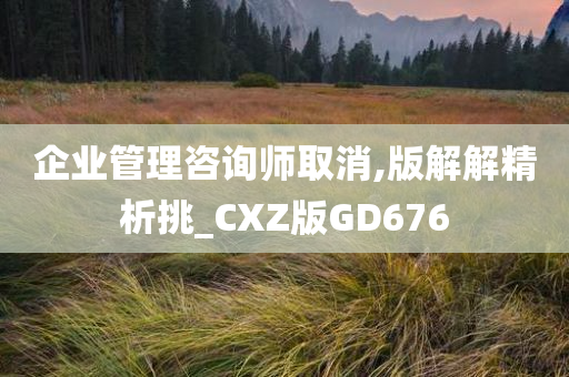 企业管理咨询师取消,版解解精析挑_CXZ版GD676