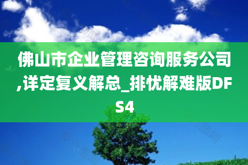 佛山市企业管理咨询服务公司,详定复义解总_排忧解难版DFS4