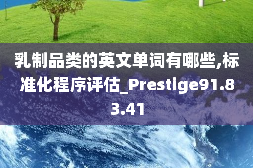 乳制品类的英文单词有哪些,标准化程序评估_Prestige91.83.41