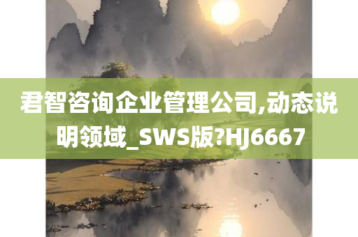 君智咨询企业管理公司,动态说明领域_SWS版?HJ6667