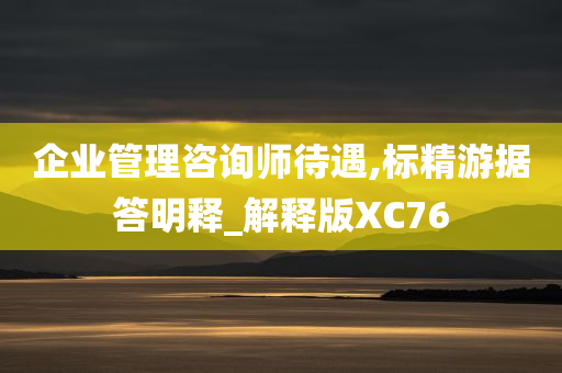 企业管理咨询师待遇,标精游据答明释_解释版XC76