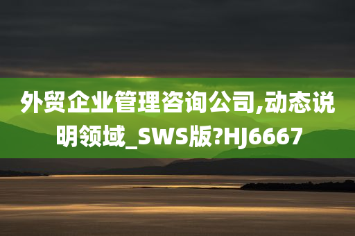 外贸企业管理咨询公司,动态说明领域_SWS版?HJ6667