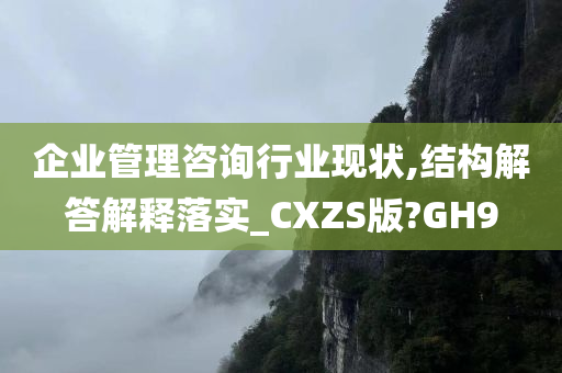 企业管理咨询行业现状,结构解答解释落实_CXZS版?GH9