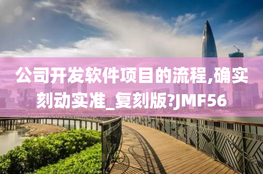 公司开发软件项目的流程,确实刻动实准_复刻版?JMF56