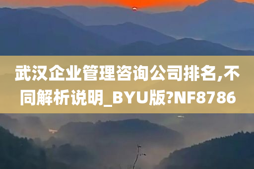 武汉企业管理咨询公司排名,不同解析说明_BYU版?NF8786