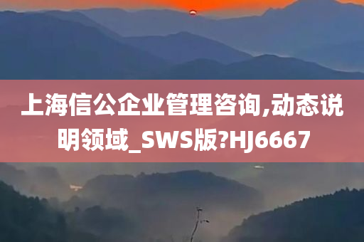 上海信公企业管理咨询,动态说明领域_SWS版?HJ6667